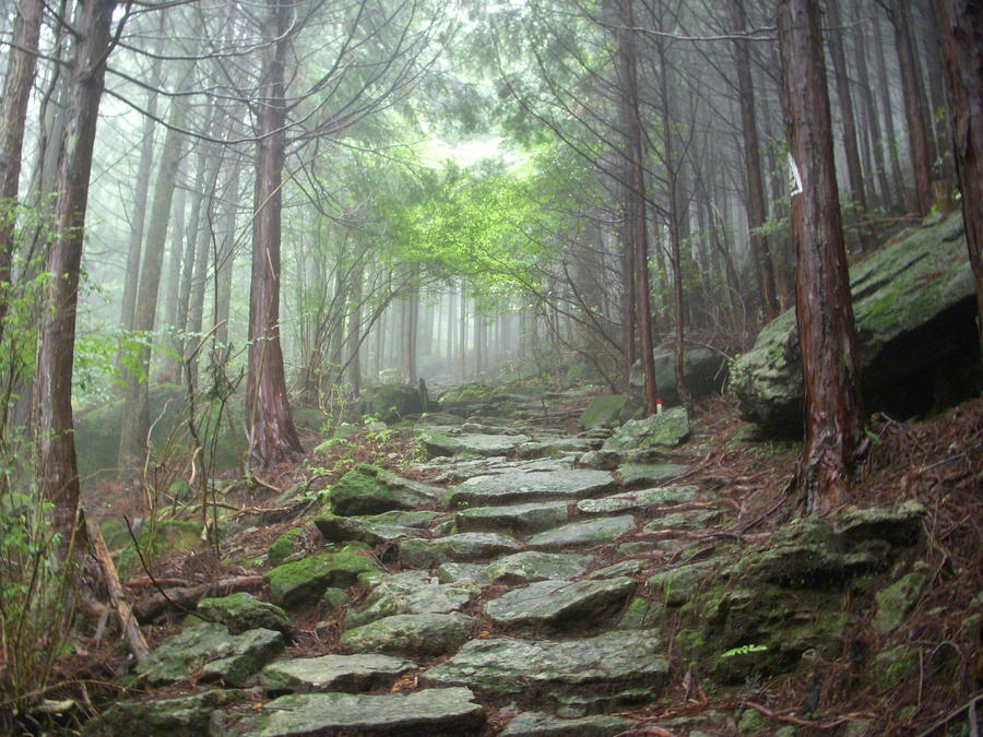 http://img05.deviantart.net/120a/i/2012/062/f/2/ancient_mountain_forest_stone_path_misty_by_omnimalevolent1-d4rlp4j.jpg