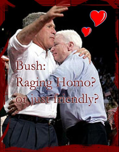 Bush Against Gay Marriage 34