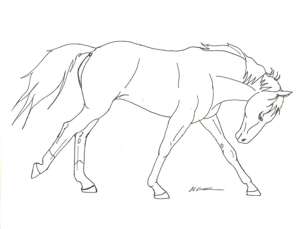 Running horse line art by hopelesslife on DeviantArt