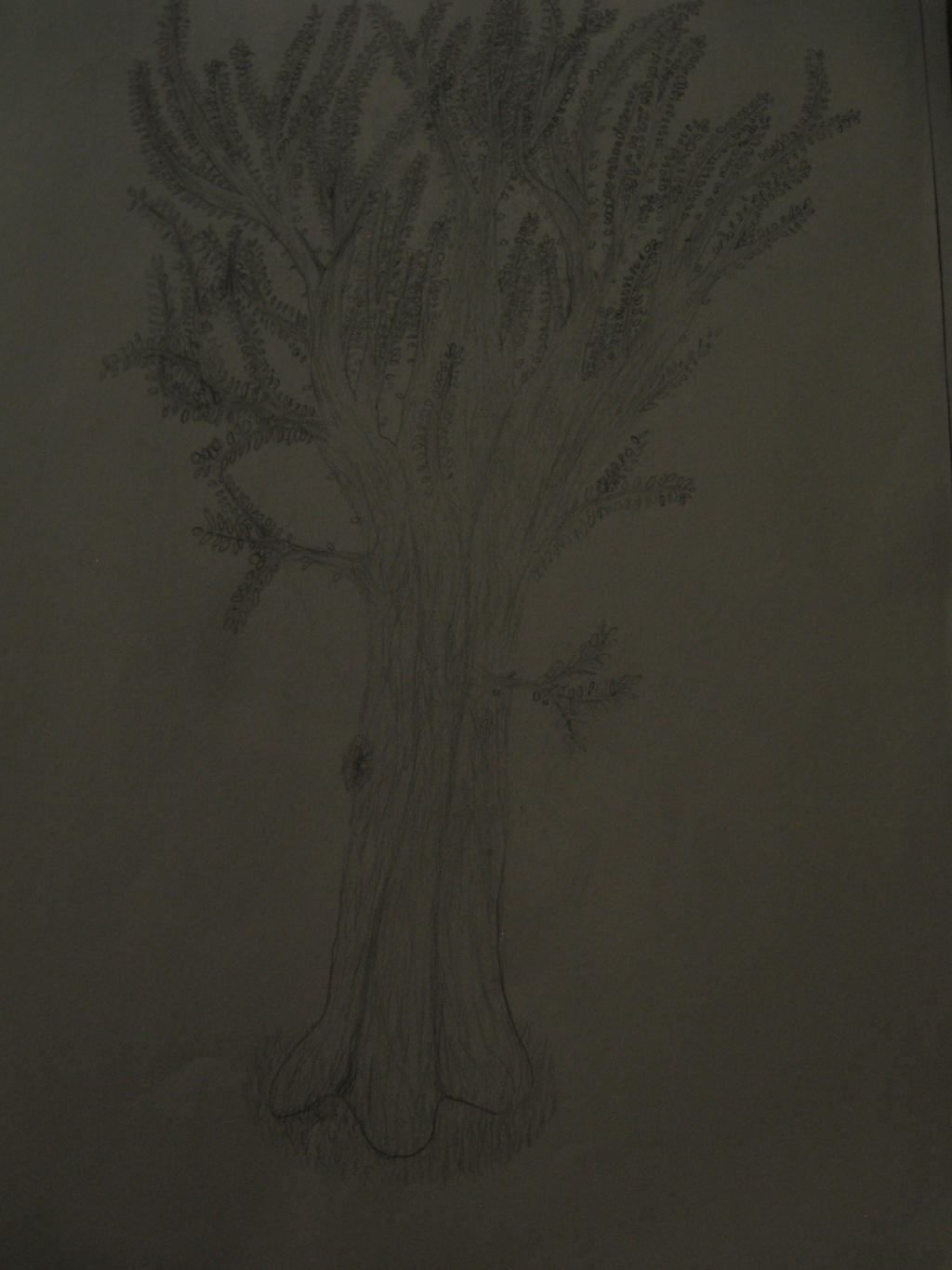 my_very_first_tree_drawing_ever_by_girghgh-d8vs7ku.jpg