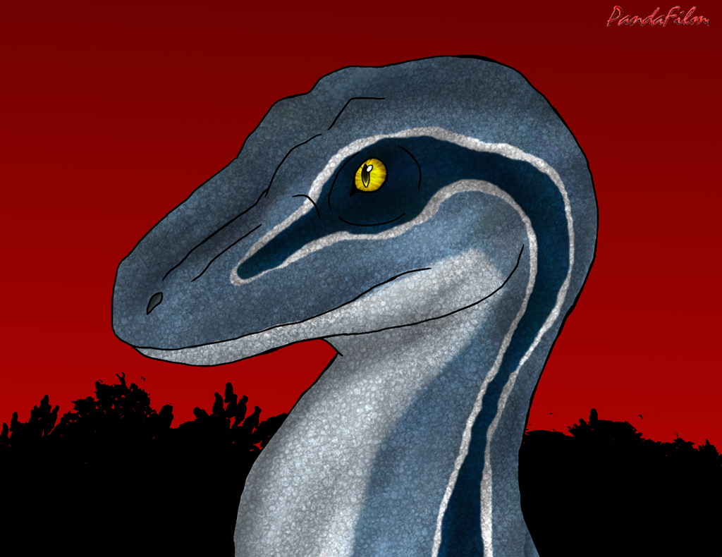 velociraptor blue of the raptor squad by pandafilmsg on
