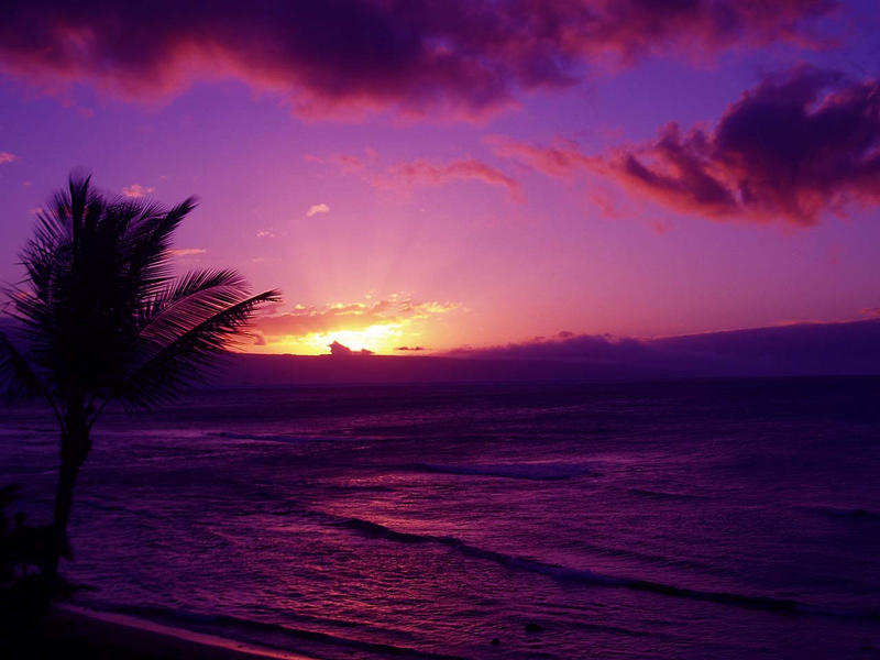 purple sunset in hawaii by SartoriInTangier on DeviantArt