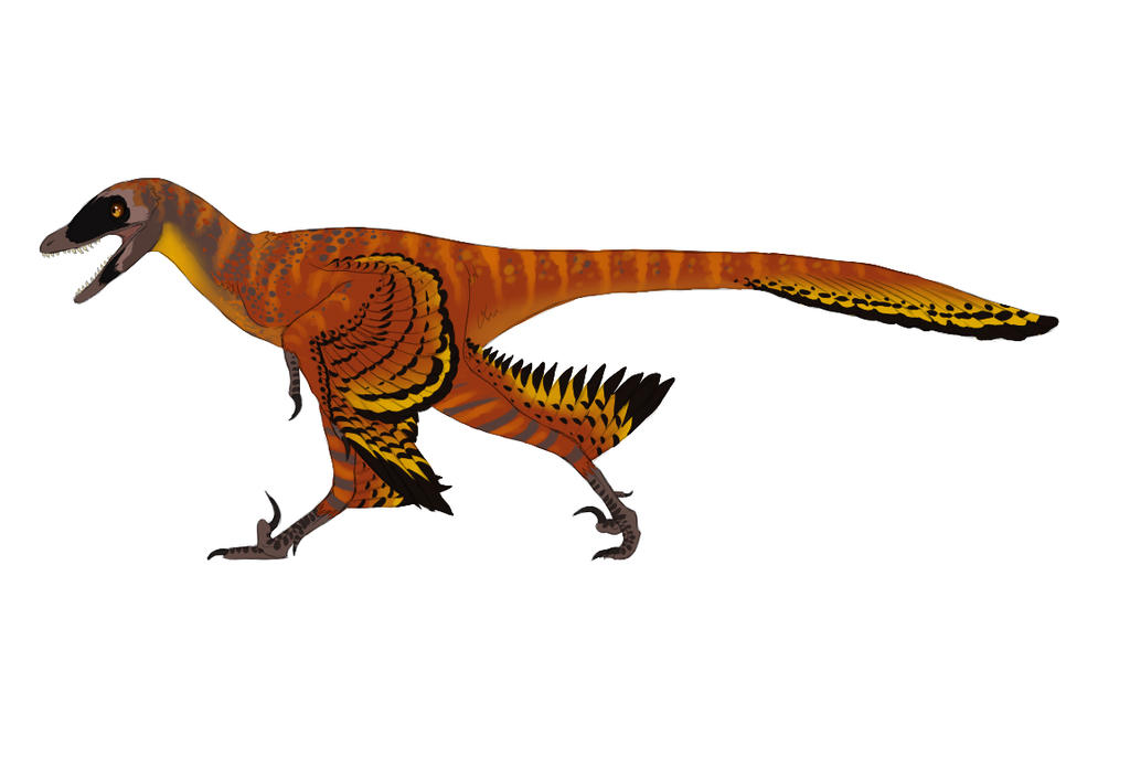 Image result for sinornithosaurus